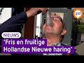 Hollandse Nieuwe happen: het kan weer!