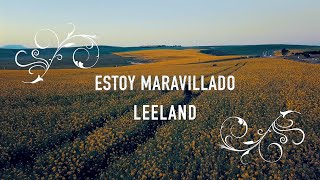 Estoy Maravillado / I Wonder - Leeland - Letra En Español