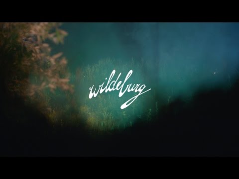 Wildeburg Festival Film