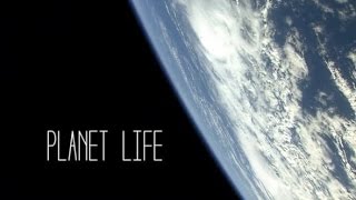Random Rab ~ Planet Life