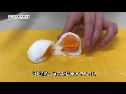 【農学部 食品科学プログラム】研究紹介「食品科学プログラム研究紹介①」
