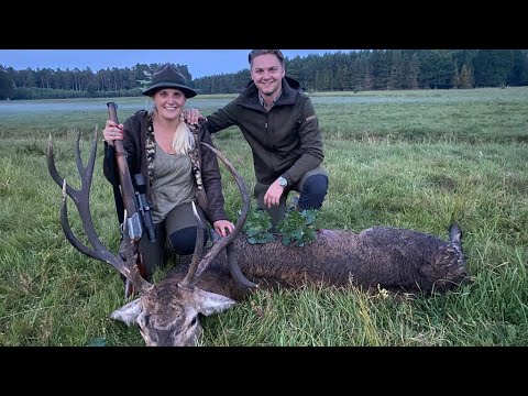 Aufgang der Hirschbrunft in der Johannisburger Heide