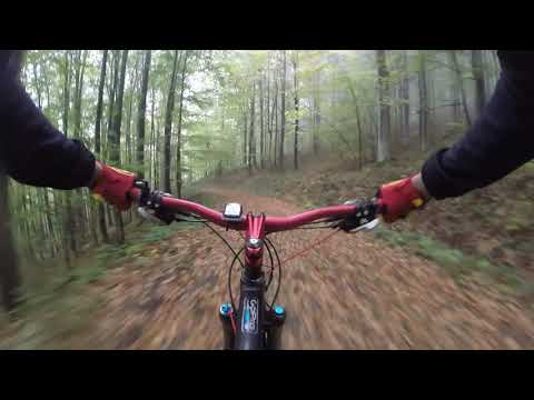 Cabana Caprioru 1080p