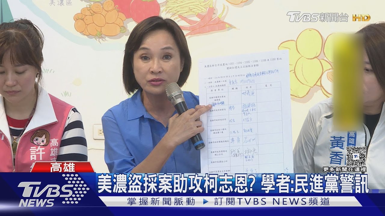 美濃盜採案助攻柯志恩? 學者:民進黨警訊