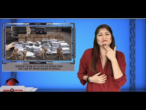 Dream team of cute K9 dogs find 420 lbs of marijuana in UHaul (ASL - 10.27.19)
