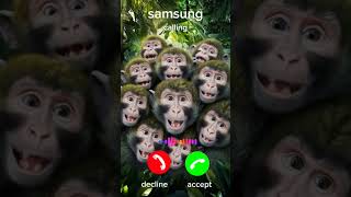 Download lagu alotof monkey #ringtone #shorts mp3 Download lagu alotof monkey #ringtone #shorts mp3