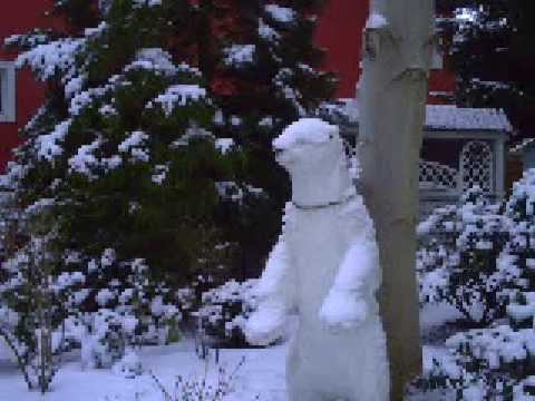 Eisbär Knut/Polar bear Knut