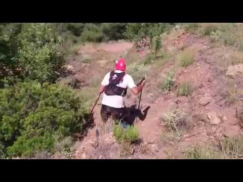 Bajada por la Autopista de L´Alt del Pi