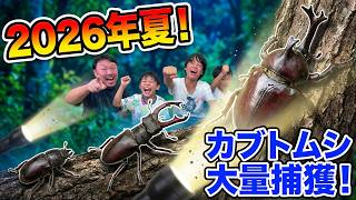 【夏休み】2026年夏！カブトムシの捕まえ方と飼育方法を完全マスター【総集編】