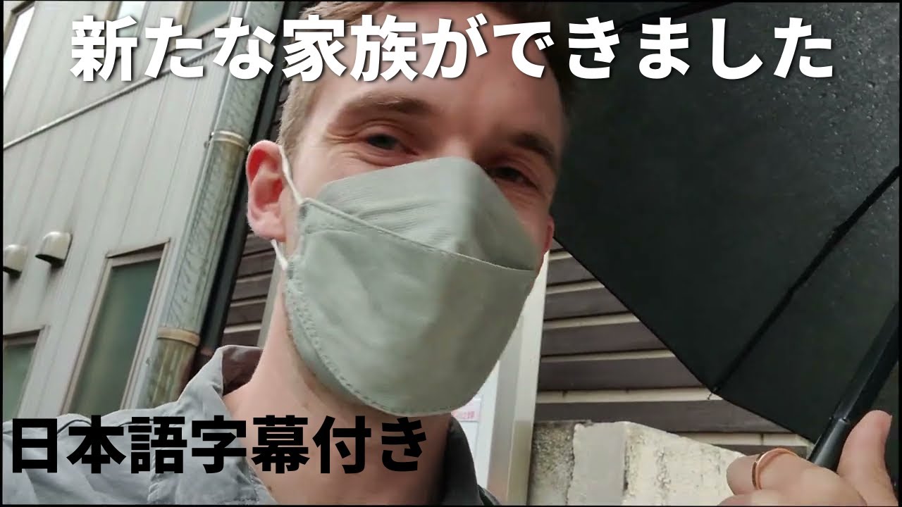 【日本語字幕付き】新しい家族ができました（？）【ピューディパイ】