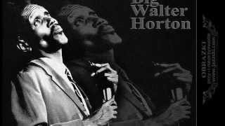 Big Walter Horton & Hot Cottage ~ ''Worried Worried''(Harmonica Blues 1972)