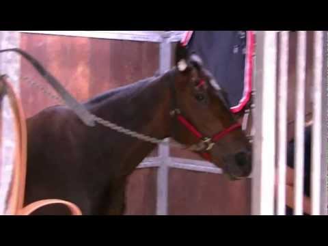 My rendez-vous with Bewitched !