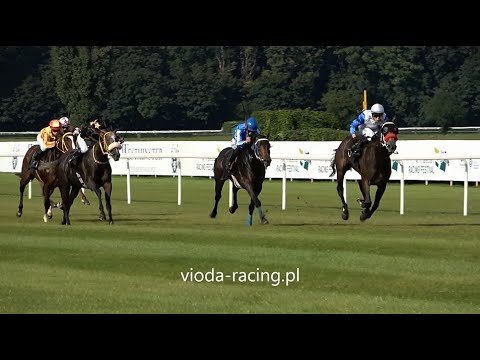 Gon. IV - 29.08.2021 - Virago Westminster (Mastercraftsman - Landiora)