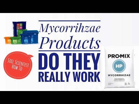 ARE MYCORRHIZAE PRODUCTS WORTH IT? MYKE & PROMIX REVIEW, THINGS TO LOOK FOR IN MYCORRHIZAE ITEMS