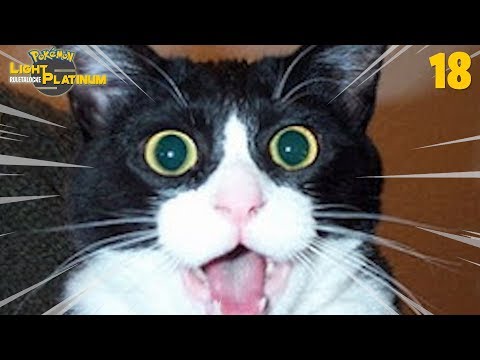 Pokémon SLP RouletteLocke Ep.18 - I REALLY DIDN'T EXPECT THIS