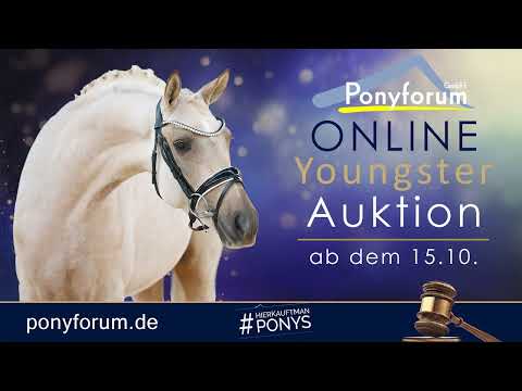 Fräulein Sahra Stute 2020 v. Fürst Samarant / Desperados