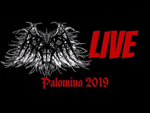 Sorguinazia LIVE at Palomino 2019