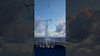 Stow Away bird on asuka 2 #travel #marino #cruiselife #funny #cruiseship #seafarerlife #food