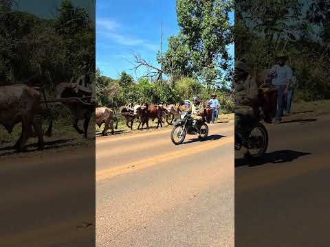 Rumo a Medeiros Minas Gerais