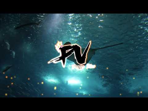 ocb x giofa - Bella 2020