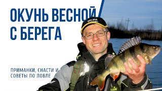 Ловля окуня в мае практические советы
