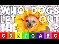 Who Let The Dogs Out Boomwhacker Playalong