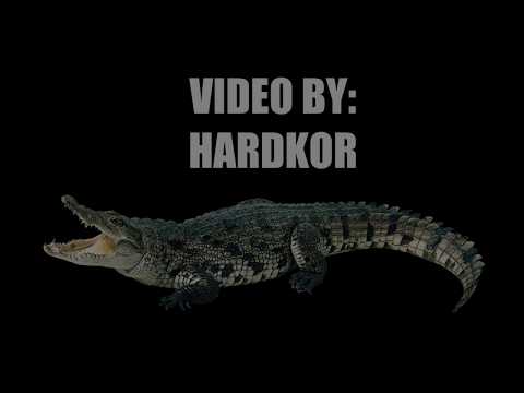 04. Ryba Beatz - Za szybkie tempo ft. Legion GZO, DJ Konkret // VIDEO by HardcorKrokodajl 2016