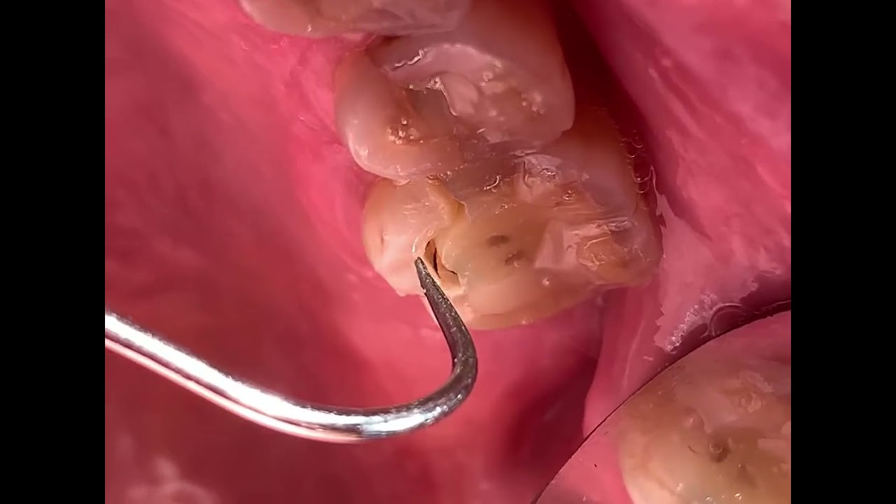 Lucy Lilian López-57