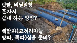 텃밭, 비닐멀칭 혼자 쉽게 하는 방법? / 백합과(코끼리마늘, 양파, 쪽파) 심을 준비?