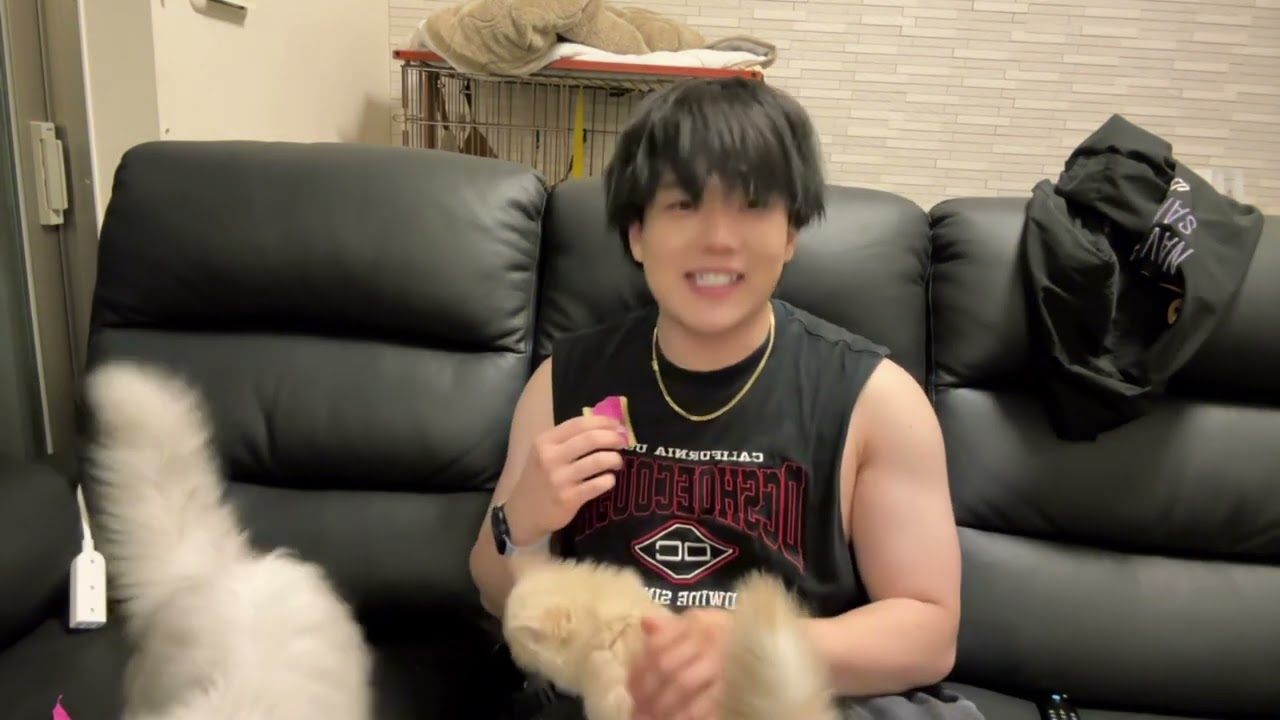 猿が猫2匹飼い始めたらしいよ！！