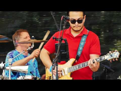 Scarlet Fire Wolf Jerry Garcia Irwin Tribute image 18