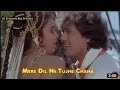 Mere Dil Ne Tujhe Chaha