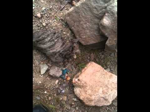 blowing up army guys w fire crackers