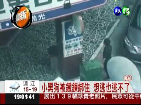 鋁棒當打狗棒! 狠心男凌虐狗