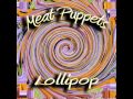 Meat Puppets - Amazing