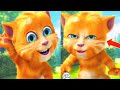 Talking Ginger Funny Videos Talking Tom Talking Ginger