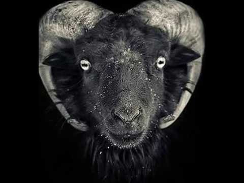 Majahkil - Death Stare