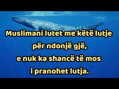 Duaja qe nuk refuzohet. Lute ALLAHUN me kete dua. Duaja e Junusit a s