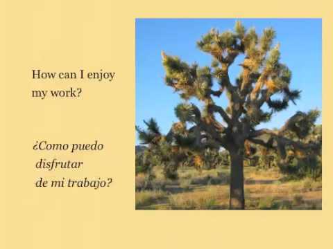 Questions to ask Preguntas para hacer Cervinka Slye