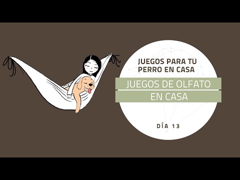 [Juegos para tu perro en casa] DÍA 13: Juegos de olfato
