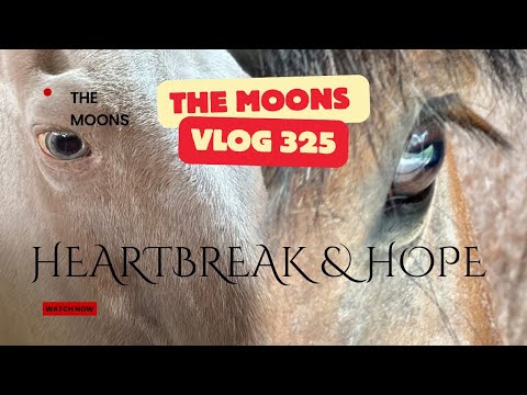 One Journey Ends, Another Begins ..