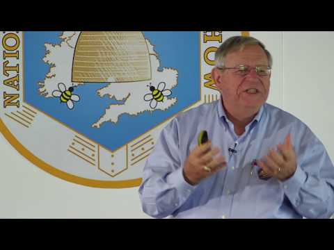 Applying The Basics Of Honey Bee Biology by Clarence Collison