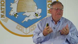 Applying The Basics Of Honey Bee Biology by Clarence Collison