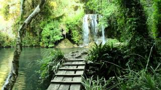 Baby Sleep White Noise 8 Hours - Waterfall in the Forest