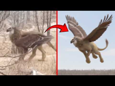 Winged Mythical Creatures Caught On Camera!