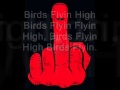DoughBoy Birds Flying High Lyrics 