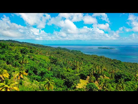 Monte Rojo Ocean View Building Sites in Samana Dominican Republic