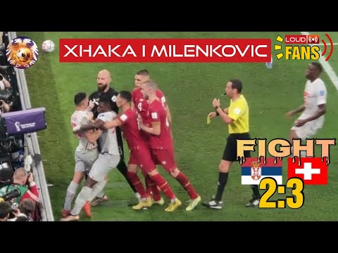 Fight between the players of Serbia and Switzerland - Granit Dzaka provokes Milenkovic
