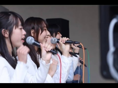 【クラブ・サークル紹介】ビリぺル