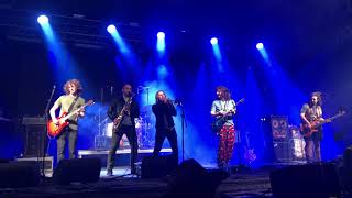 PIGEONS PLAYING PING PONG (LIVE) - The Liquid - Bonnaroo 2018